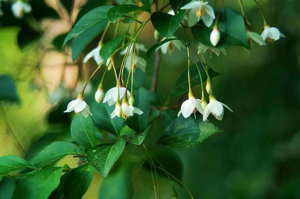 1649822218390728.jpg a.jpg