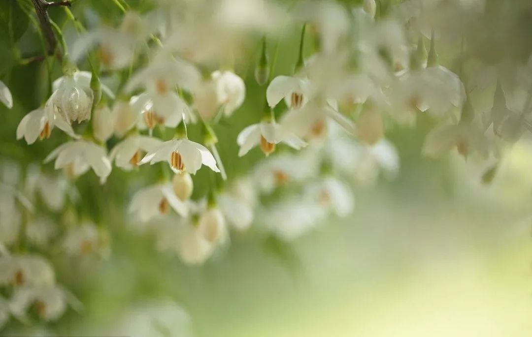 1649822327477136.jpg e.jpg